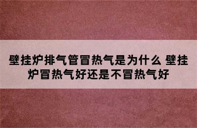 壁挂炉排气管冒热气是为什么 壁挂炉冒热气好还是不冒热气好